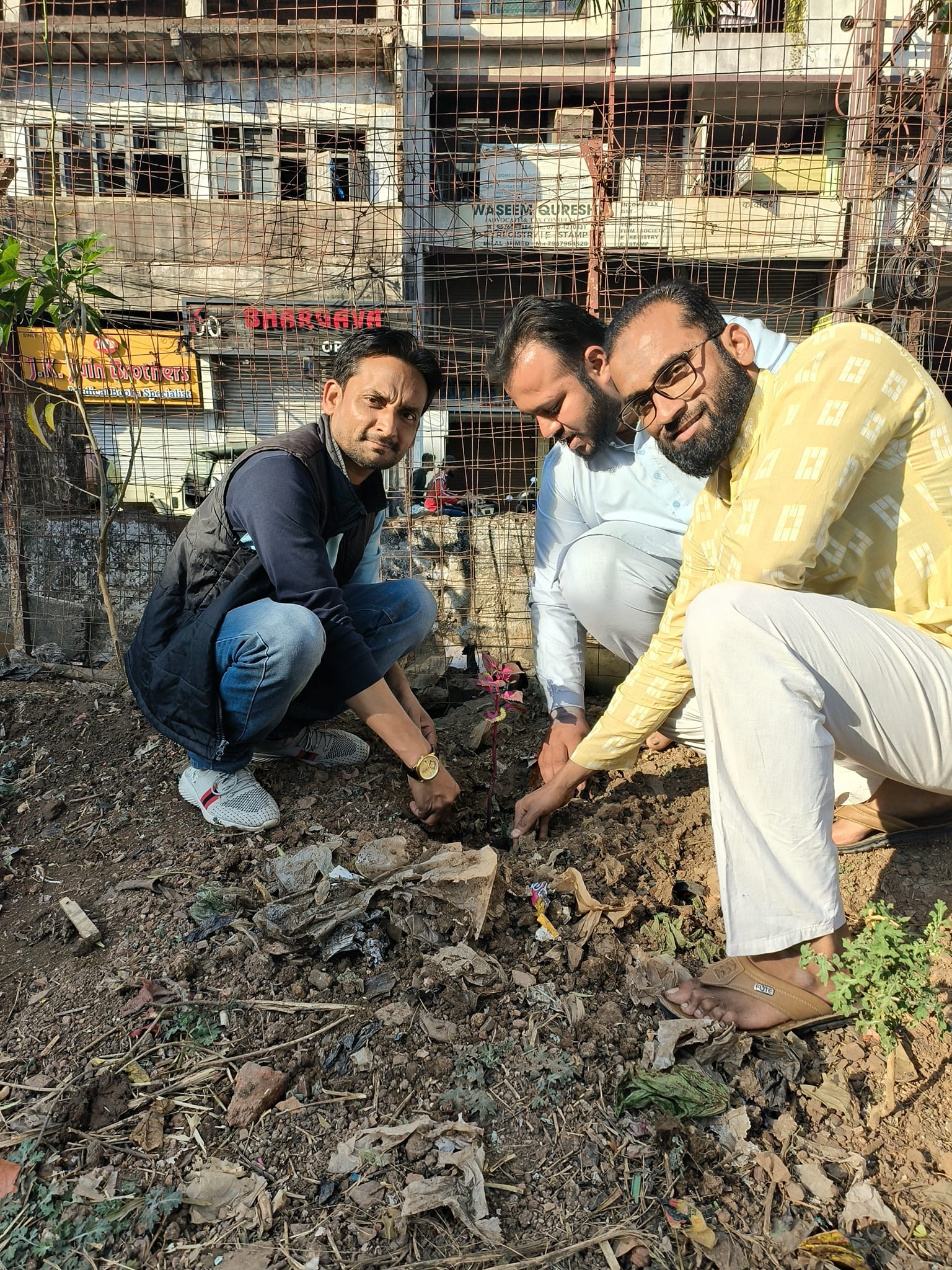 Plant care activity