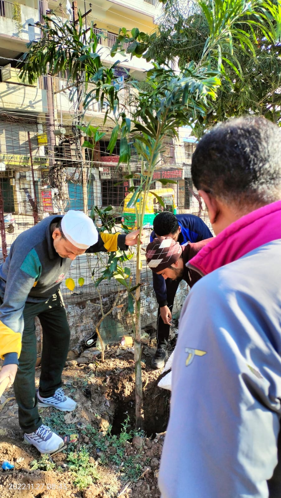 Plantation drives with follow-up care