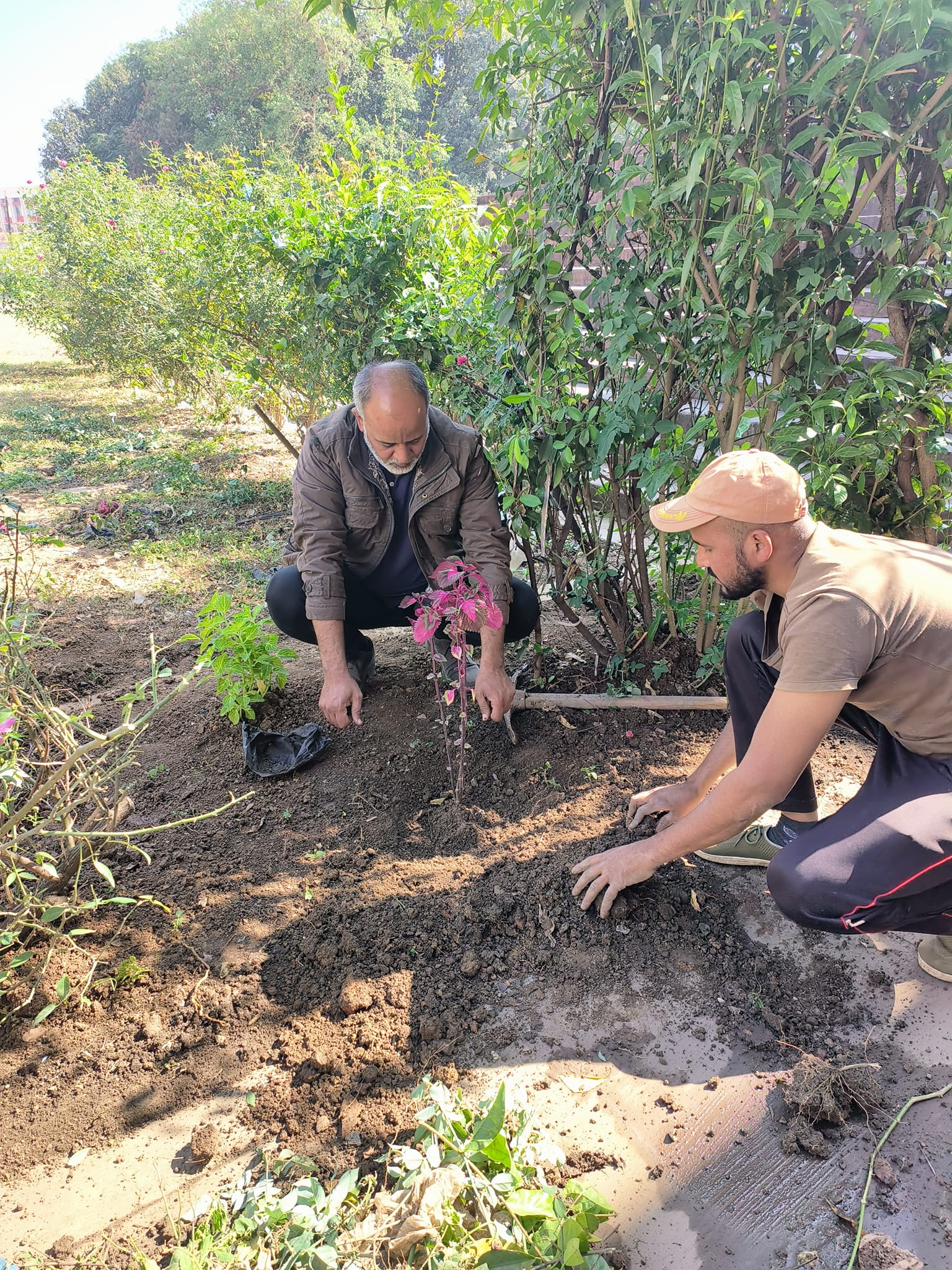 Environment action with local volunteers
